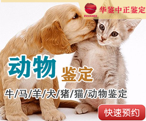 资阳动物亲子鉴定