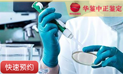 资阳父系亲缘鉴定